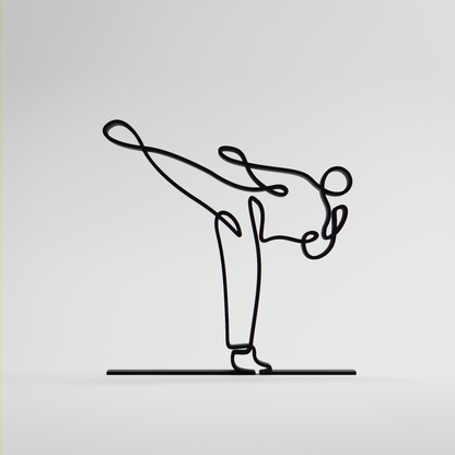 Taekwondo Practitioner - Customized Line Art Figure